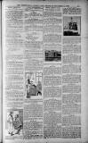 Birmingham Weekly Post Saturday 12 November 1910 Page 19