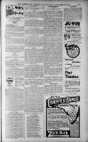 Birmingham Weekly Post Saturday 26 November 1910 Page 11