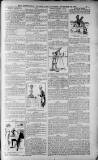 Birmingham Weekly Post Saturday 26 November 1910 Page 19