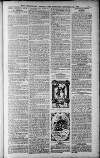 Birmingham Weekly Post Saturday 24 December 1910 Page 17