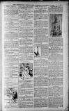 Birmingham Weekly Post Saturday 24 December 1910 Page 19