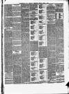 Wharfedale & Airedale Observer Friday 04 June 1880 Page 3