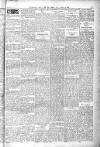 Glasgow Observer and Catholic Herald Saturday 03 January 1903 Page 5