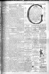 Glasgow Observer and Catholic Herald Saturday 05 September 1903 Page 7