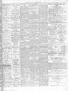 Southern Press (Glasgow) Saturday 14 December 1895 Page 3