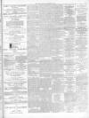 Southern Press (Glasgow) Saturday 21 December 1895 Page 3