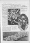 Britannia and Eve Friday 16 November 1928 Page 53