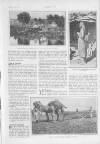 Britannia and Eve Friday 11 January 1929 Page 29