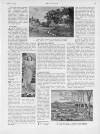 Britannia and Eve Friday 12 April 1929 Page 23