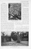 The Bystander Wednesday 23 March 1904 Page 50