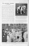 The Bystander Wednesday 07 September 1904 Page 48