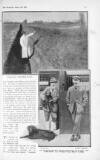 The Bystander Wednesday 22 March 1911 Page 29