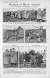 The Bystander Wednesday 23 February 1916 Page 43