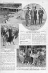 The Bystander Wednesday 03 August 1921 Page 7