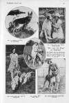 The Bystander Wednesday 01 August 1928 Page 49