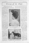 The Tatler Wednesday 06 November 1901 Page 5