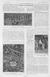 The Tatler Wednesday 06 November 1901 Page 10