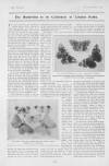 The Tatler Wednesday 06 November 1901 Page 12