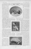 The Tatler Wednesday 27 November 1901 Page 18