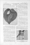 The Tatler Wednesday 05 November 1902 Page 8