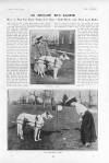 The Tatler Wednesday 13 April 1904 Page 9