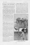 The Tatler Wednesday 18 May 1904 Page 8