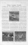 The Tatler Wednesday 27 November 1912 Page 28