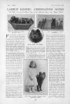 The Tatler Wednesday 23 September 1914 Page 26