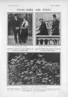 The Tatler Wednesday 01 September 1915 Page 7