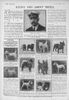 The Tatler Wednesday 03 November 1915 Page 44