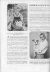 The Tatler Wednesday 20 February 1929 Page 40