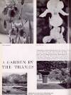 The Tatler Wednesday 01 June 1960 Page 32