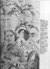 The Tatler Wednesday 06 November 1963 Page 35