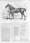 Illustrated Sporting and Dramatic News Saturday 27 June 1874 Page 5