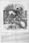 Illustrated Sporting and Dramatic News Saturday 17 October 1874 Page 16