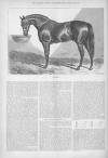 Illustrated Sporting and Dramatic News Saturday 12 December 1874 Page 8