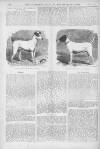 Illustrated Sporting and Dramatic News Saturday 09 January 1875 Page 16