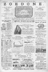 Illustrated Sporting and Dramatic News Saturday 04 December 1880 Page 17