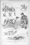 Illustrated Sporting and Dramatic News Saturday 26 February 1881 Page 8