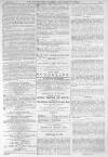 Illustrated Sporting and Dramatic News Saturday 24 December 1881 Page 5