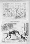Illustrated Sporting and Dramatic News Saturday 28 January 1882 Page 7