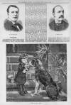 Illustrated Sporting and Dramatic News Saturday 16 February 1884 Page 5