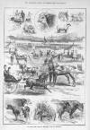 Illustrated Sporting and Dramatic News Saturday 20 June 1885 Page 10