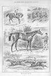 Illustrated Sporting and Dramatic News Saturday 08 August 1885 Page 16