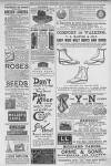 Illustrated Sporting and Dramatic News Saturday 01 January 1887 Page 31