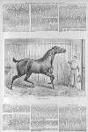 Illustrated Sporting and Dramatic News Saturday 14 May 1887 Page 5
