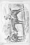 Illustrated Sporting and Dramatic News Saturday 12 April 1890 Page 6