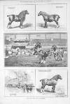 Illustrated Sporting and Dramatic News Saturday 07 March 1891 Page 8