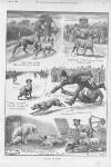 Illustrated Sporting and Dramatic News Saturday 28 May 1892 Page 13