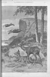 Illustrated Sporting and Dramatic News Saturday 22 October 1892 Page 5